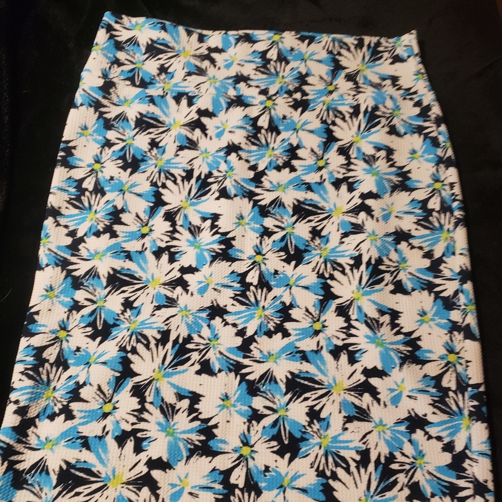 LuLaRoe blue and white flower cassie skirt